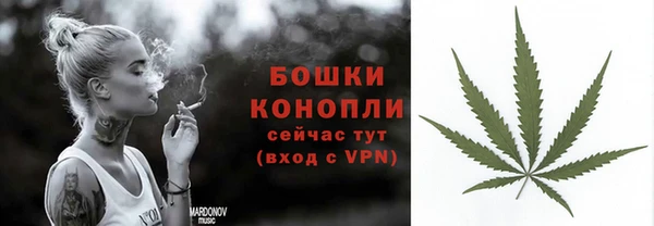 spice Белокуриха
