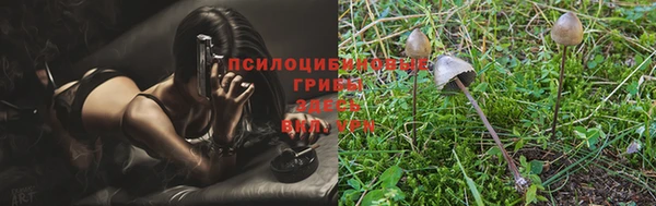 сатива Балахна