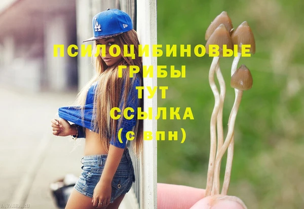 spice Белокуриха