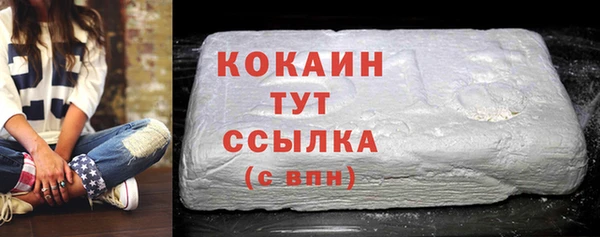 гидра Белоозёрский