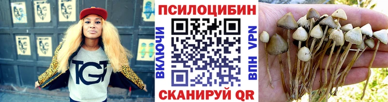 Псилоцибиновые грибы Cubensis  Шиханы 